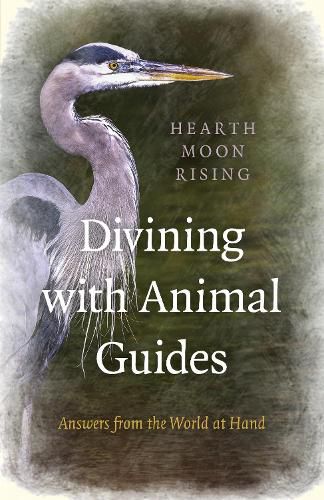 Divining with Animal Guides - Answers from the World at Hand