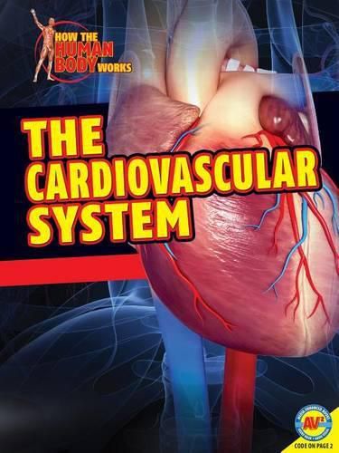 Cover image for Cardiovascular System