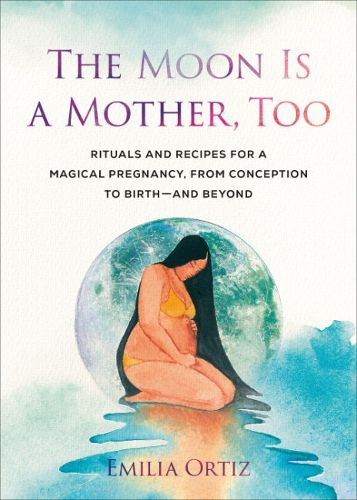 Cover image for The Moon is a Mother, Too