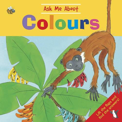 Cover image for Ask Me About Colours