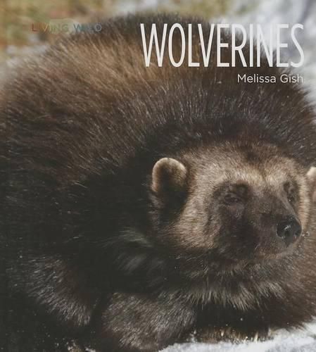 Cover image for Wolverines