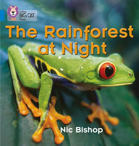 Cover image for The Rainforest at Night: Band 04/Blue