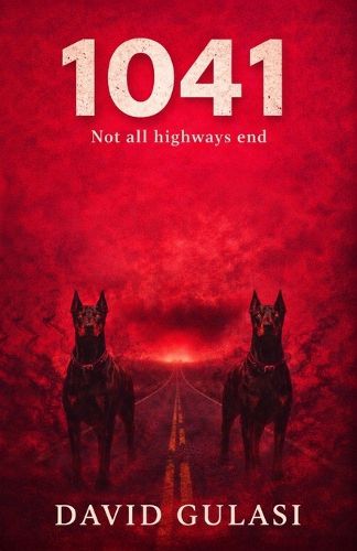 Cover image for 1041