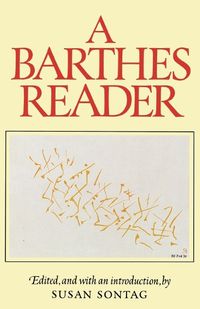 Cover image for A Barthes Reader