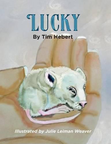 Cover image for Lucky