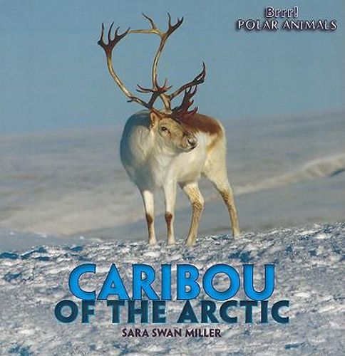 Cover image for Caribou of the Arctic