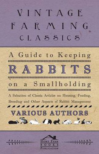 Cover image for A Guide to Keeping Rabbits on a Smallholding - A Selection of Classic Articles on Housing, Feeding, Breeding and Other Aspects of Rabbit Management (Self-Sufficiency Series)