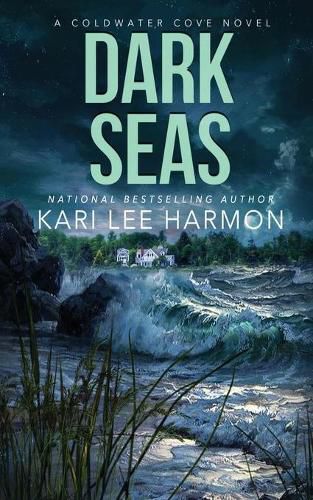 Cover image for Dark Seas