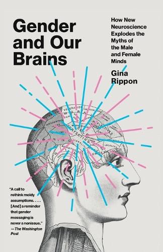 Cover image for Gender and Our Brains: How New Neuroscience Explodes the Myths of the Male and Female Minds