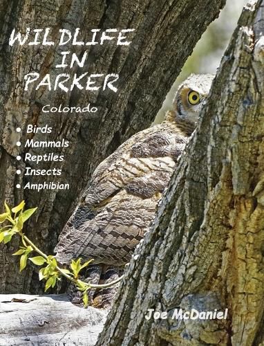 Cover image for Wildlife In Parker