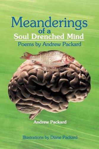 Cover image for Meanderings of a Soul Drenched Mind