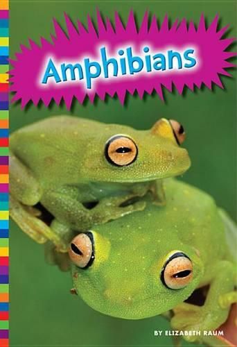 Cover image for Amphibians