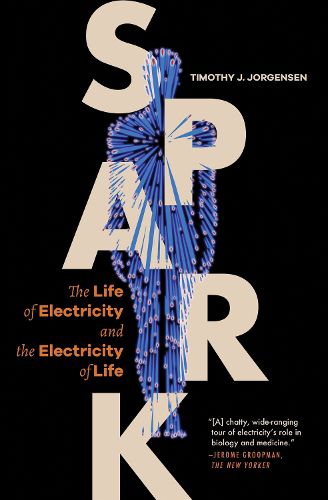 Cover image for Spark: The Life of Electricity and the Electricity of Life