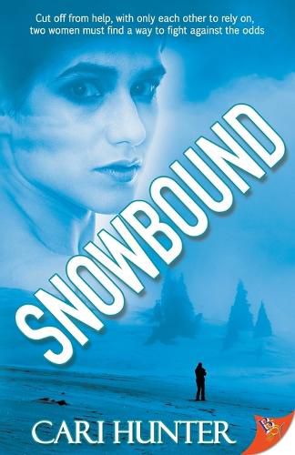 Cover image for Snowbound