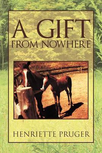 Cover image for A Gift from Nowhere