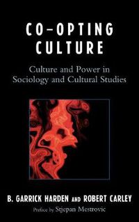 Cover image for Co-opting Culture: Culture and Power in Sociology and Cultural Studies