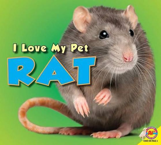 Cover image for Rat