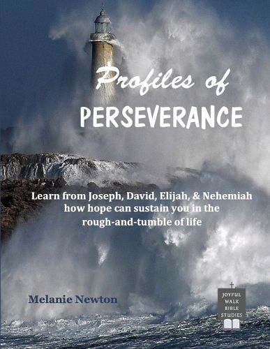 Cover image for Profiles of Perseverance