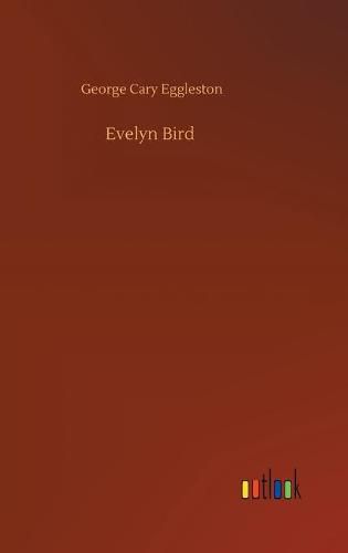 Cover image for Evelyn Bird