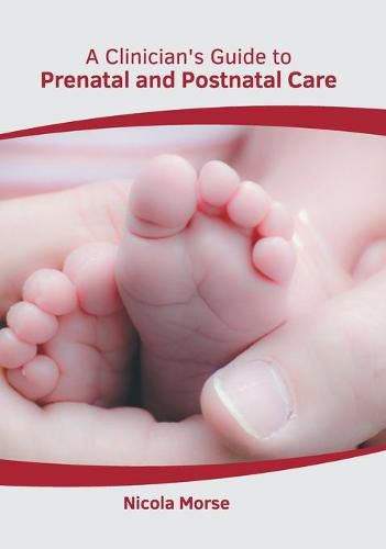 Cover image for A Clinician's Guide to Prenatal and Postnatal Care