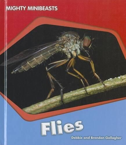 Cover image for Flies