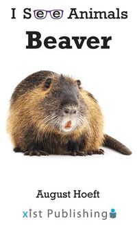 Cover image for Beaver