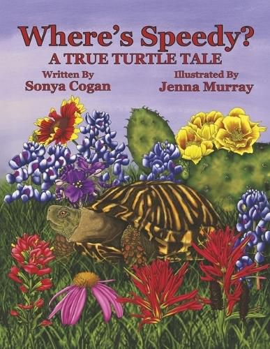 Cover image for Where's Speedy?