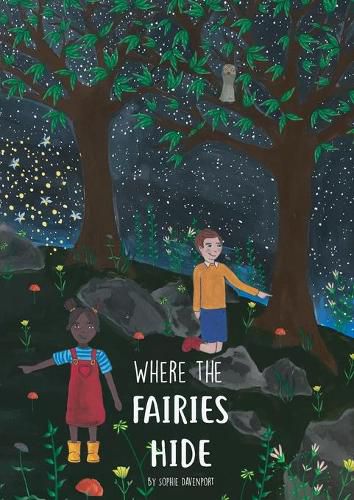 Cover image for Where The Fairies Hide