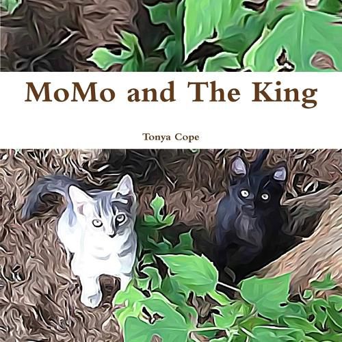 Cover image for MoMo and The King
