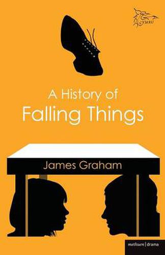 Cover image for A History of Falling Things