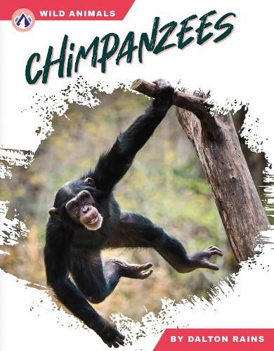 Cover image for Chimpanzees