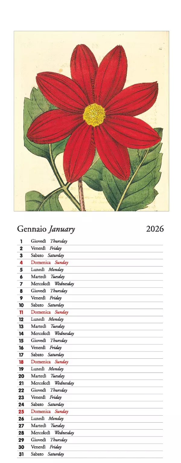 2026 Botanica Slim Art Calendar 13.5x34cm (CV2614)