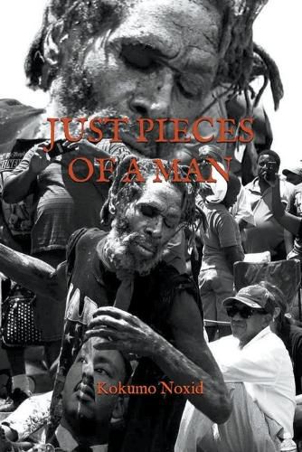 Cover image for Just Pieces Of A Man