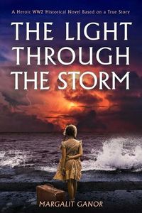 Cover image for Light Through the Storm