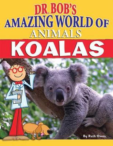 Cover image for Koalas