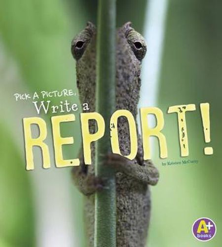 Cover image for Write a Report!