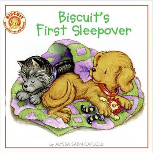 Cover image for Biscuit's First Sleepover