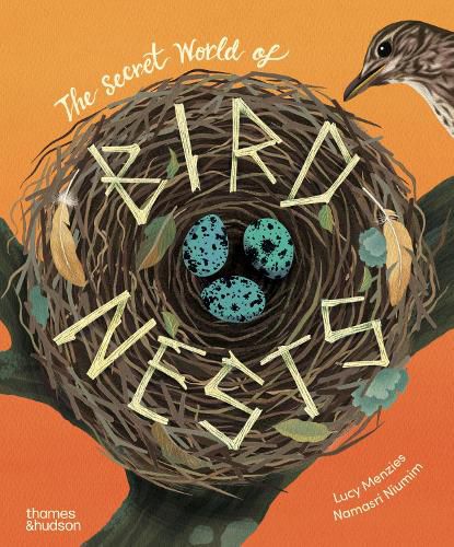 Cover image for The Secret World of Bird Nests