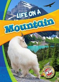 Cover image for Life on a Mountain