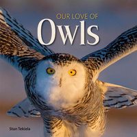 Cover image for Our Love of Owls