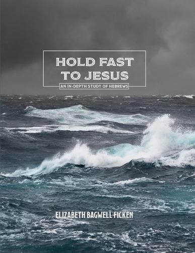 Cover image for Hold Fast to Jesus: An in-depth study of Hebrews