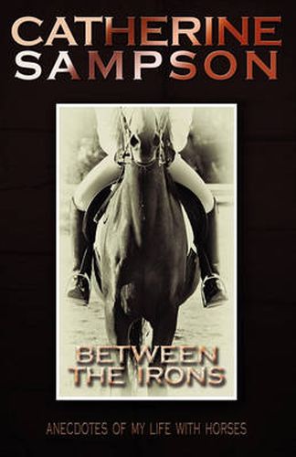 Cover image for Between the Irons