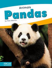 Cover image for Animals: Pandas