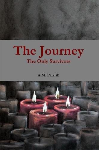 Cover image for The Journey The Only Survivors