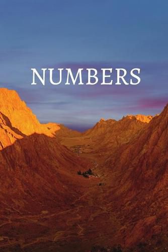 Cover image for Numbers Bible Journal