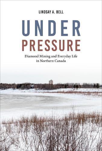 Cover image for Under Pressure