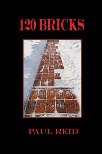 Cover image for 120 Bricks