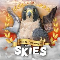 Cover image for Skies