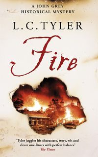 Cover image for Fire