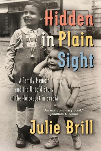 Cover image for Hidden in Plain Sight